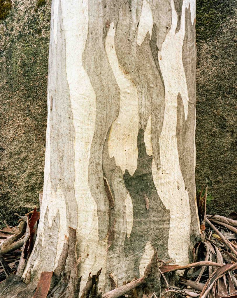 5x4 Linhof Technika 4