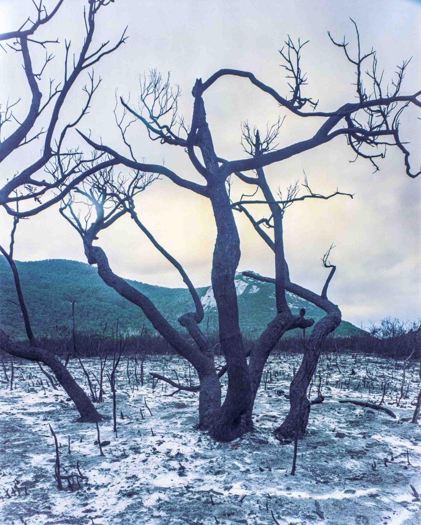 5x4 Linhof Technika IV